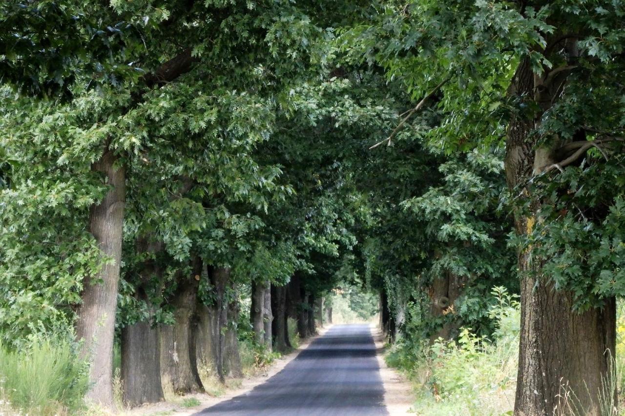 Godzisz - Domek Rekreacyjny Sobolew Exterior foto